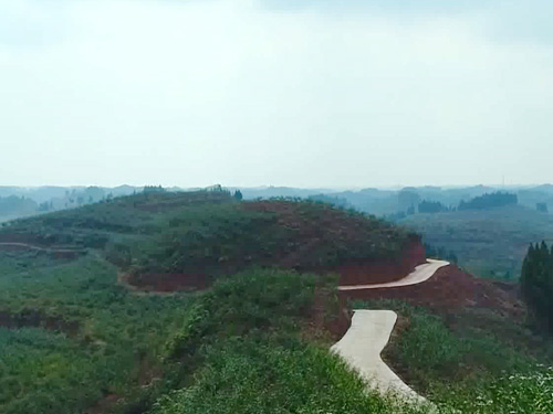 基地种植